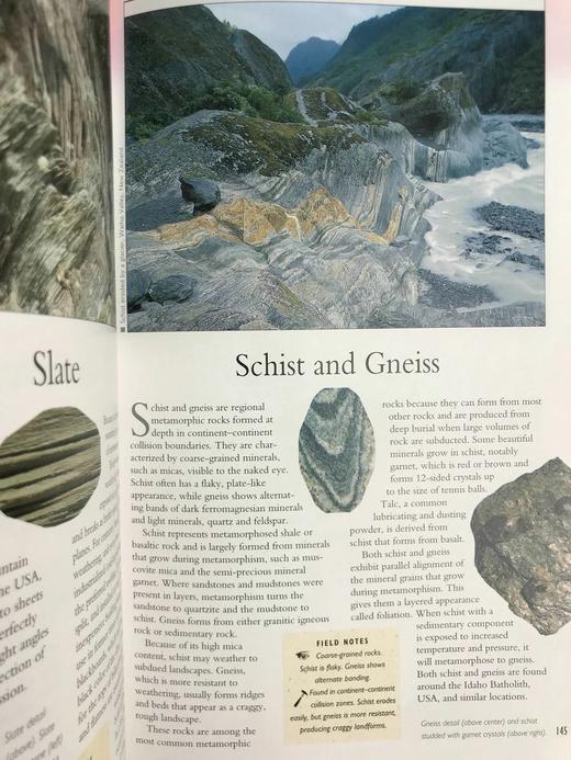 岩石，化石与恐龙自然指南 千余幅彩色插图 精装16开 商品图8