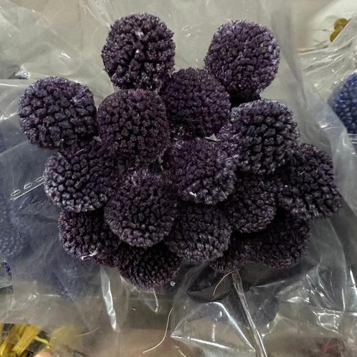 国产花材-永生【黄金球】 商品图5