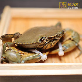 郑炳才有机黄油腌蟹 南沙地标产品 顺丰配送 6只/箱