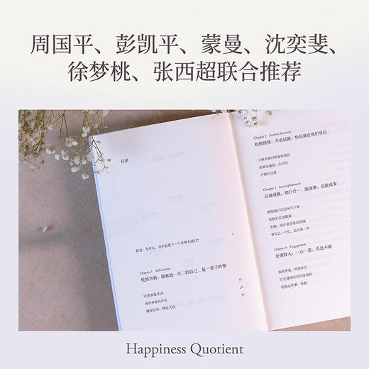 幸福力（杨澜重磅新书，习得幸福的能力，创造你的海阔天空 一本可以改善认知，真正实践的幸福提案） 商品图4