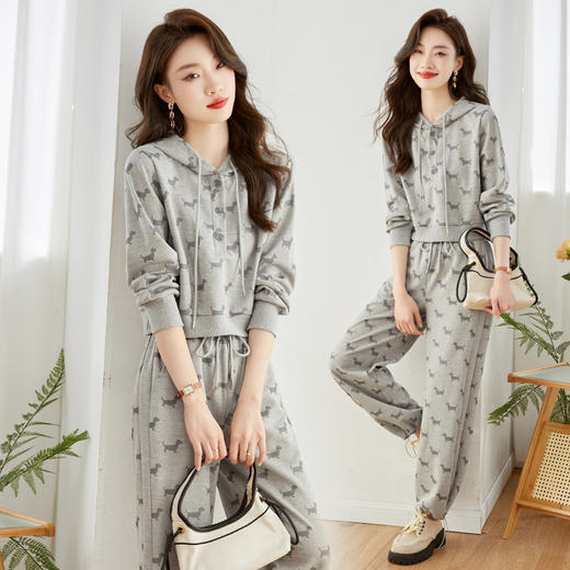 秋季新款，时尚洋气休闲卫衣+直筒阔腿运动裤两件套HR-SSFB2781 商品图2