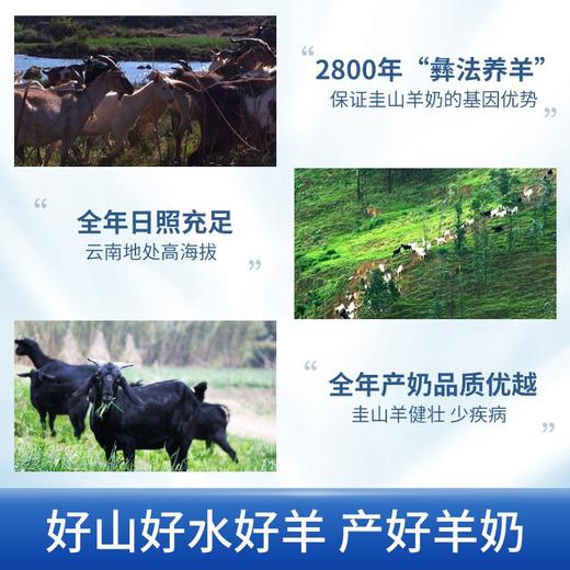 【品质优越】广微·益生菌羊奶粉400g 商品图2