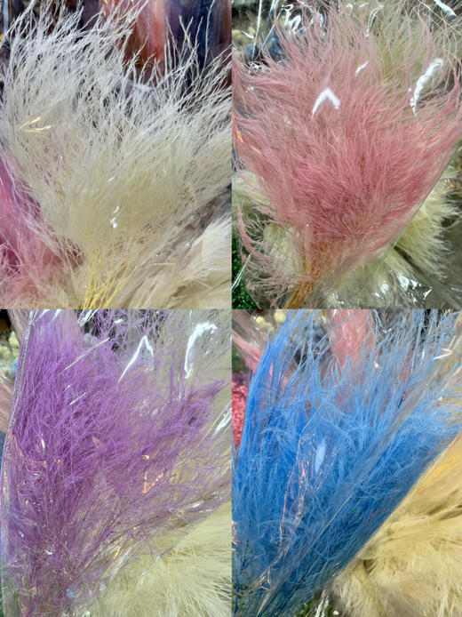 国产花材-永生【石草】 商品图0