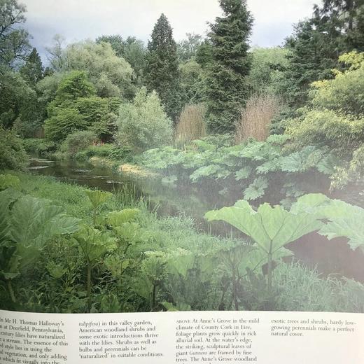 园林风格图集 约200余幅彩色插图 精装16开 商品图9