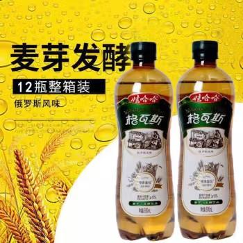 娃哈哈 大格瓦斯 600ml*12瓶 商品图1