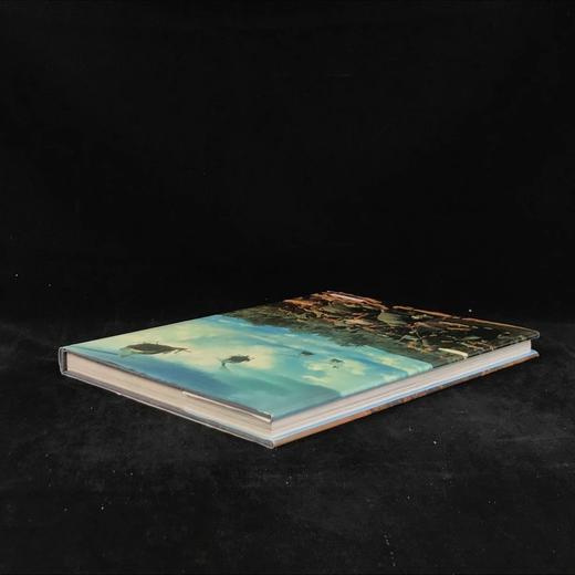 美国骑兵史 250余幅插图 精装大16开 商品图2