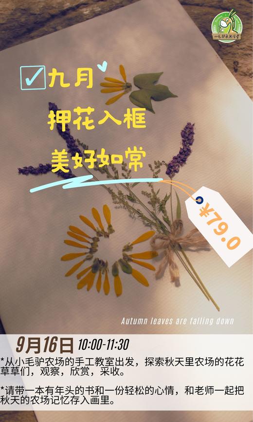 押化入框 | 美好如常 商品图0