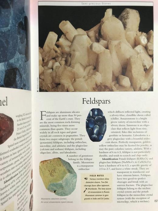 岩石，化石与恐龙自然指南 千余幅彩色插图 精装16开 商品图6