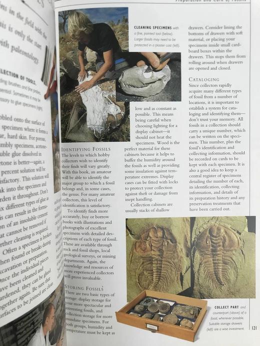 岩石，化石与恐龙自然指南 千余幅彩色插图 精装16开 商品图10