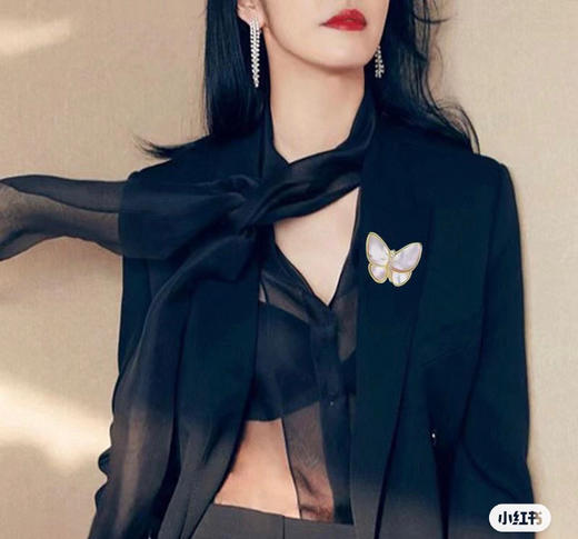 新出彩贝🉐️ 长公主同款 海贝蝴蝶胸针 海水贝➕高级合金➕锆石 商品图5