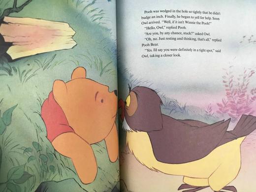 小熊维尼历险记 约50幅彩色插图 精装大16开 商品图12