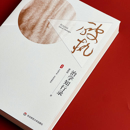 破执 治学知行录 大夏书系 名家谈教育 潘新和教授 商品图4