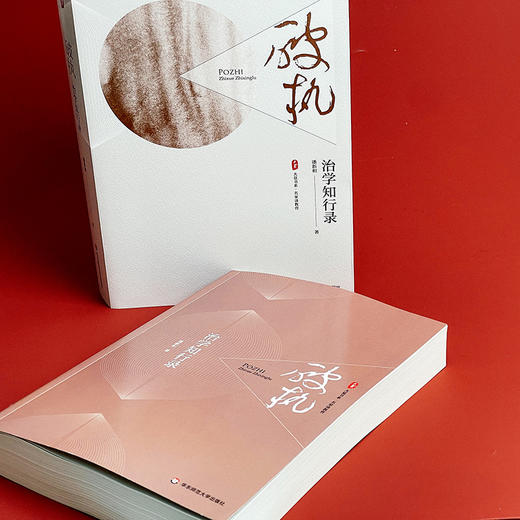 破执 治学知行录 大夏书系 名家谈教育 潘新和教授 商品图12