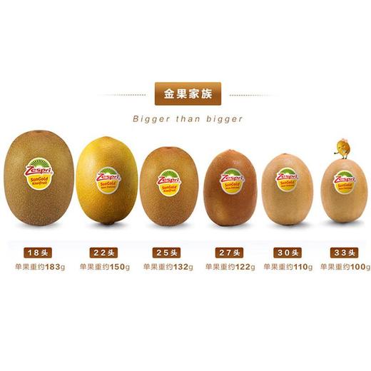 佳沛金奇异果22# /个 商品图1
