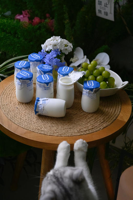 零蔗糖，更纯净！源自天山牧场【马三三0蔗糖酸奶】 生牛乳发酵 低温酸奶 采用保加利亚乳杆菌、嗜热链球菌 商品图5