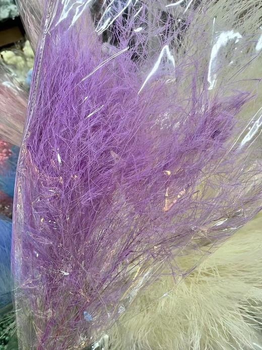 国产花材-永生【石草】 商品图4