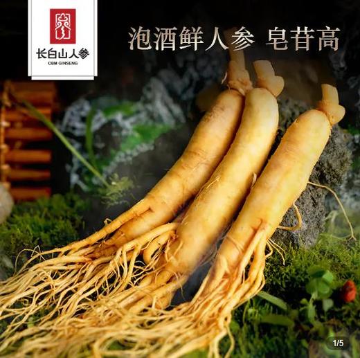 【买5送5】  长白山人参带保鲜参6-8克/支  A-4648 （效期27-10） 商品图1