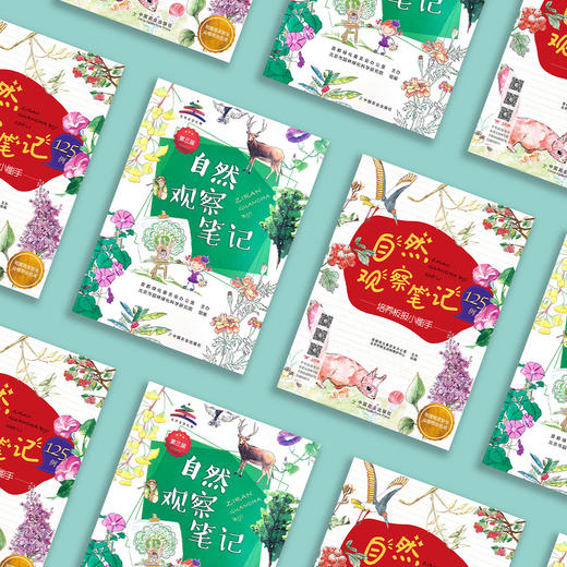 《自然观察笔记（第三届）》《自然观察笔记125例——培养板报小能手》（共2册） 商品图2