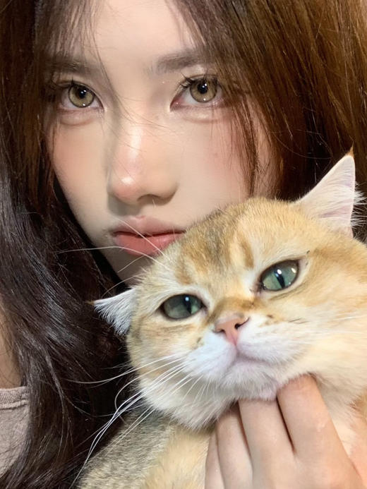 【中直径】ICECANDY-猫女印记--14.2mm【年抛 0-1000度 含有525/575】 商品图5