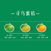 【一口爆汁】赣南寻乌蜜橘 蜜桔 商品缩略图10