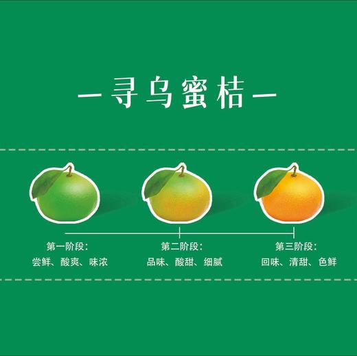 【一口爆汁】赣南寻乌蜜橘 蜜桔 商品图10