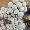 国产花材-永生【黄金球】 商品缩略图8