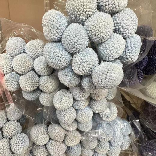 国产花材-永生【黄金球】 商品图8