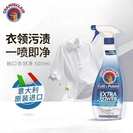 9楼母婴生活馆 2瓶 意大利进口大公鸡管家衣领净强力去污去黄喷雾型 吊牌价：120元2瓶 活动价：69.99元2瓶 商品图0