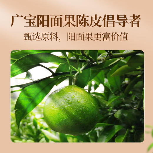 广宝陈皮 新会广宝牌12年老陈皮干 江门老号陈皮茶 大红皮 礼盒装250g 商品图2