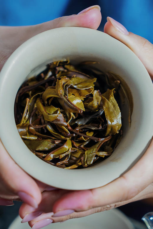 2022[老班章“羽毛茶”]正统班章味 商品图11