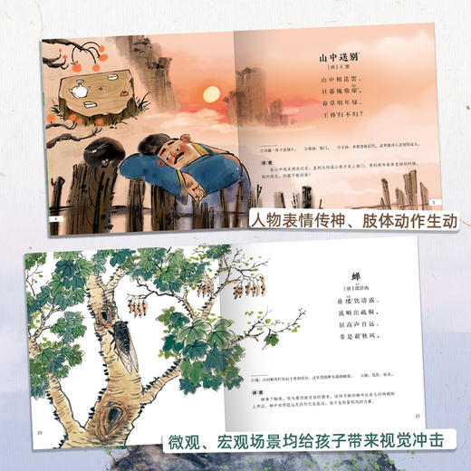 亲亲科学图书馆：一起来读古诗词（共10册） 商品图6