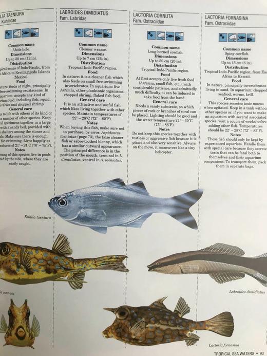 观赏鱼类百科全书 数百幅彩色插图 精装大16开 商品图12