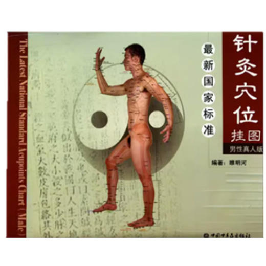 最新国家标准针灸穴位挂图（男性真人版）睢明河 编著 中国中医药出版社 商品图1