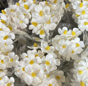 国产花材-【永生紫罗兰】黄