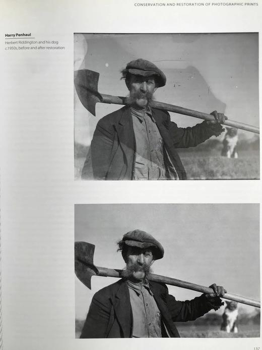 牛津摄影指南 数百幅插图 精装16开 商品图7