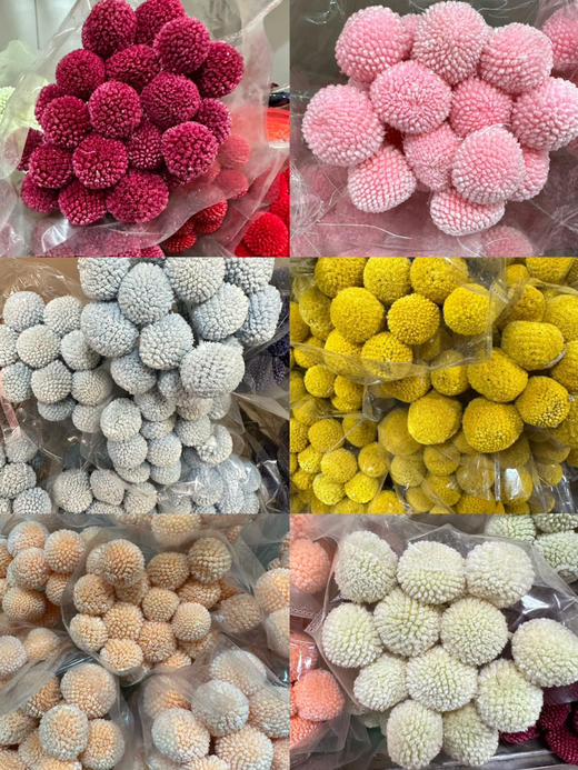 国产花材-永生【黄金球】 商品图0