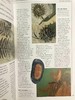 岩石，化石与恐龙自然指南 千余幅彩色插图 精装16开 商品缩略图14