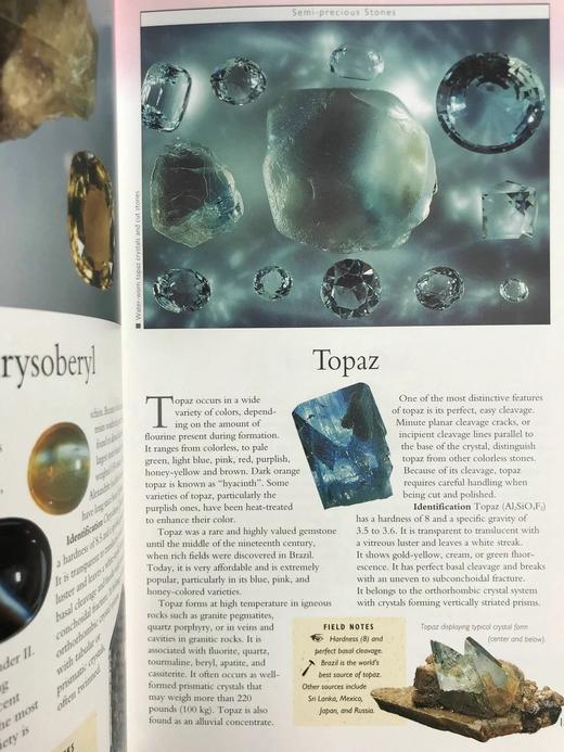 岩石，化石与恐龙自然指南 千余幅彩色插图 精装16开 商品图7