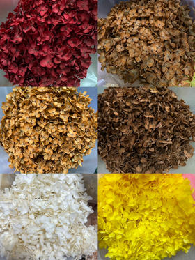 国产花材-永生【绣球】