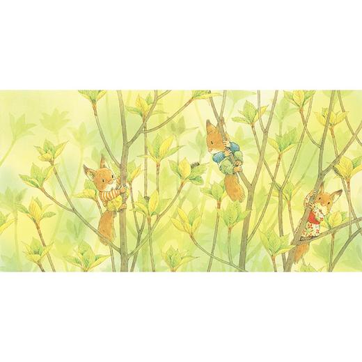 3只小松鼠系列(全6册) 商品图2