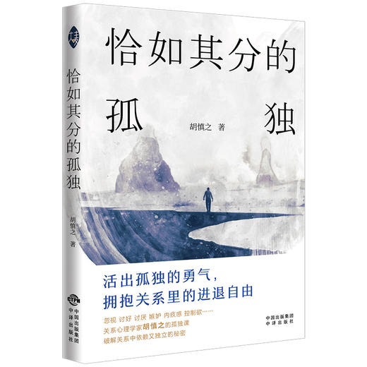 恰如其分的孤独 商品图2