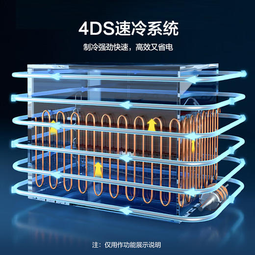 容声（Ronshen） 301升 大容量冰柜 家商两用 冷藏冷冻转换 单温冷柜 厨房雪糕冰箱 大冷冻力BD/BC-301MA 商品图3