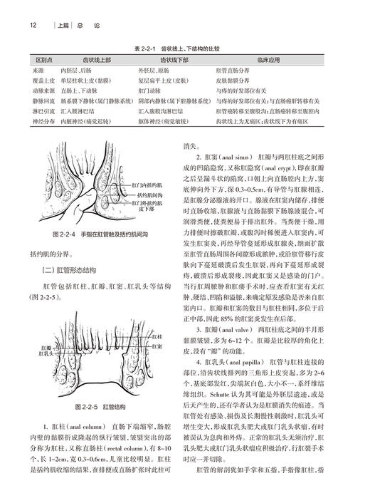 临床肛肠外科学 李春雨 肛肠解剖检查方法围手术期处理 疾病诊断治疗手术操作步骤 中西医结合治疗 人民卫生出版社9787117350150 商品图3