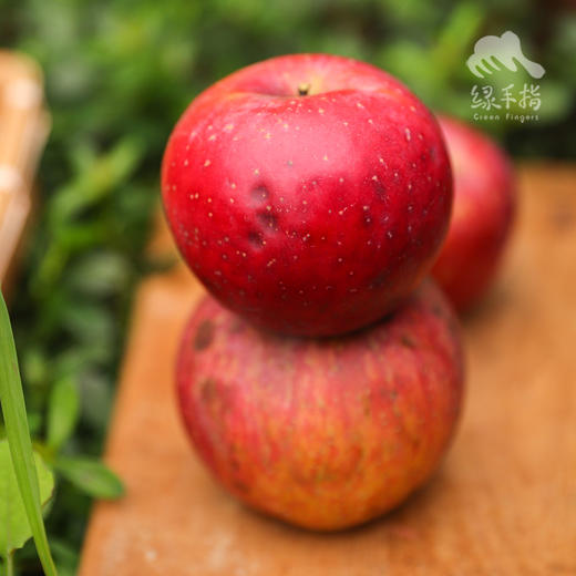 生态盐源苹果 | 合作生产 * Ecological Yanyuan Apple | Coproduction 商品图0