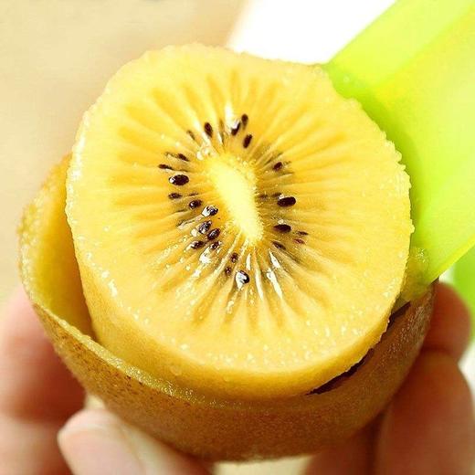【口口酸甜多汁！果园现摘】一口金黄蜜汁，甜中带酸，此乃妙品也！现货四川蒲江黄心猕猴桃，健康美味，惊艳味蕾！健康 商品图2