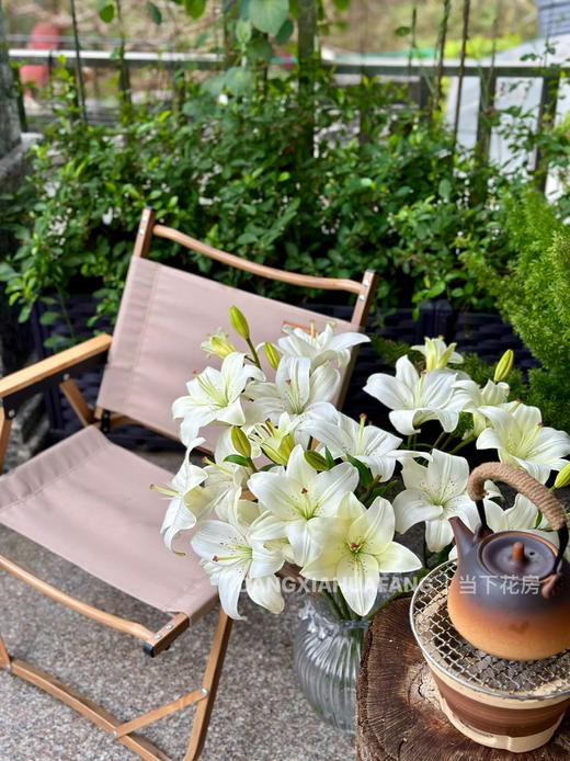 【AB级眼线亚百合】2头5支10朵/份 商品图8