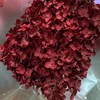 国产花材-永生【绣球】 商品缩略图1