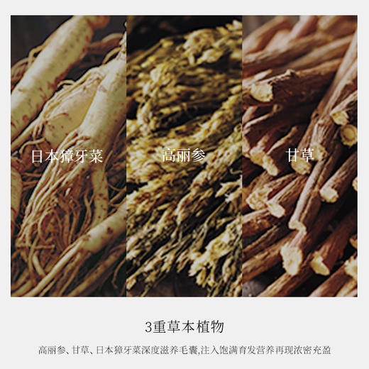 柑气楼 丰盈透爽育发露 50mL 商品图4