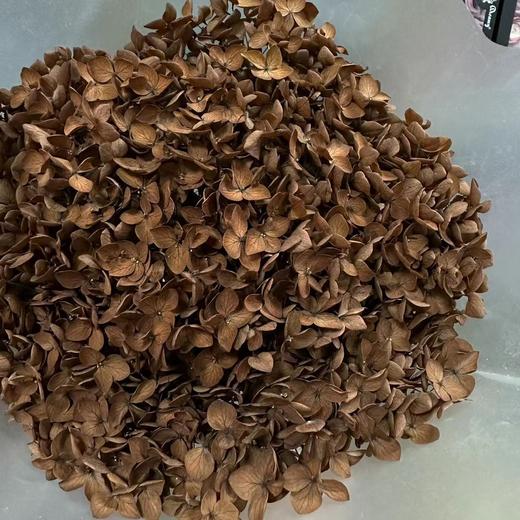 国产花材-永生【绣球】 商品图5