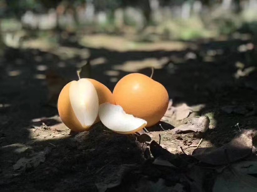 08975d6407ae272e084fcb90101edf